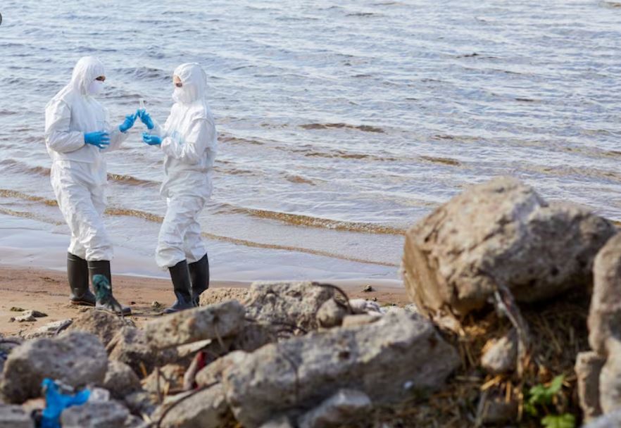 Massachusetts Just Announced New Marine Debris Cleanup Regulations That Have Lobstermen and Scientists on Opposite Sides
