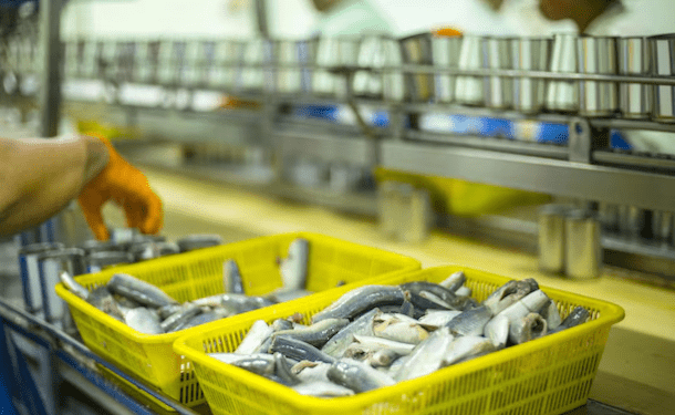 Sustainable Seafood