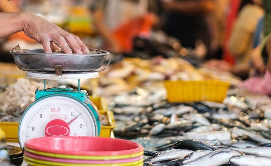 Why America's Seafood Labeling Laws Are Still So Weak — and the Lawmakers Who Keep Blocking Reform